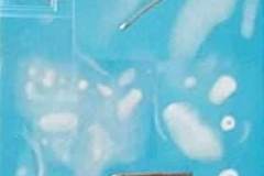 278167879_545559300239277_5658212415745834802_n