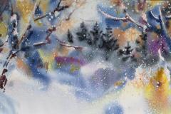 79760678_564104667715349_3088723772413313024_n