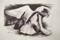 Леда и лебеда I, литография , 25/34 см