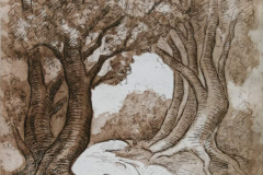 47430572_338964846892433_5879330574866317312_n