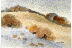 Есенна рапсодия, 2024г., акварел, 20/28 см