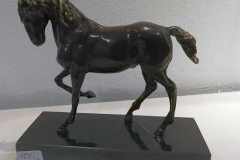 46764471_1042831022593185_8716238245756665856_n