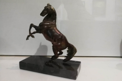 47072990_2236856046389530_1593210881431306240_n