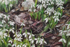 286861114_393766092793570_925637185269580917_n