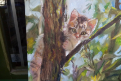 316468362_673335464191263_1630685549880218523_n